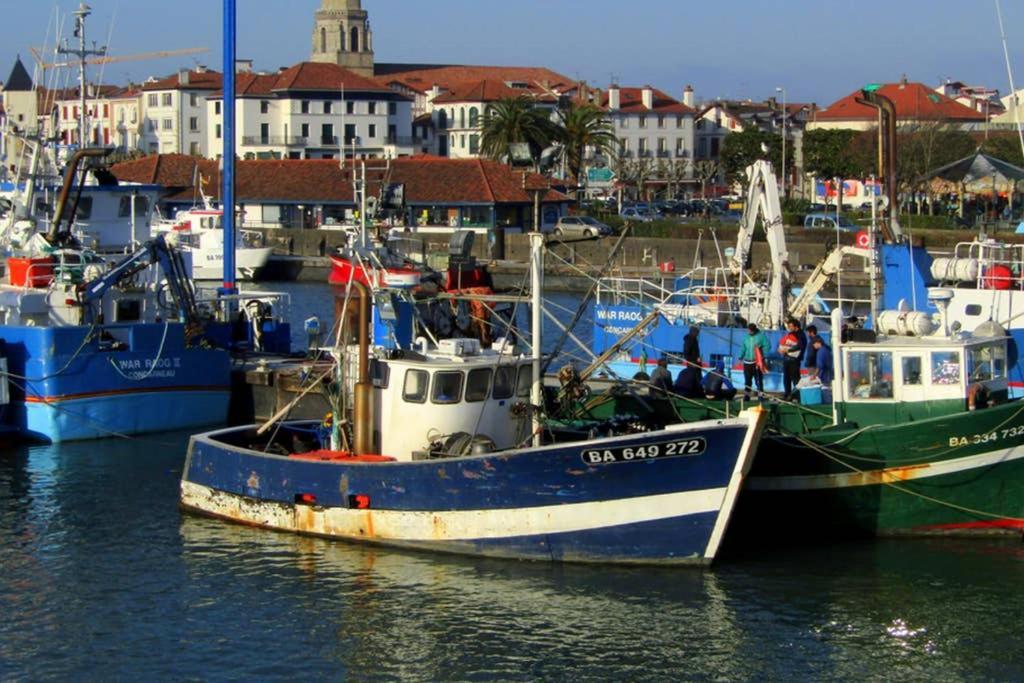 Maison Individuelle Cote Basque Сібур Екстер'єр фото