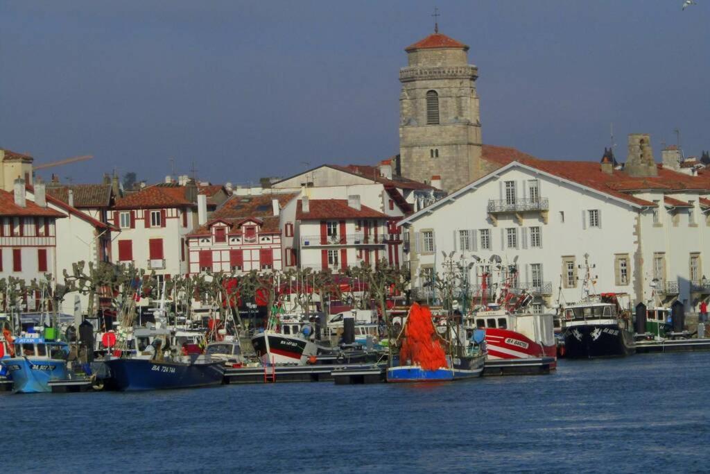 Maison Individuelle Cote Basque Сібур Екстер'єр фото
